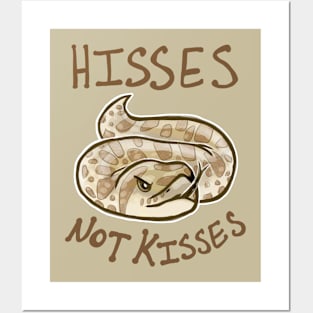 Hisses NOT Kisses Posters and Art